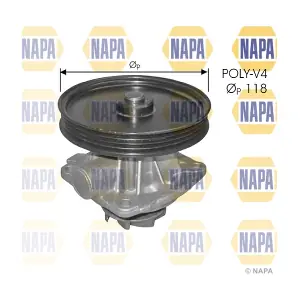 NAPA NWP1491