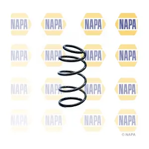 NCS1163 NAPA