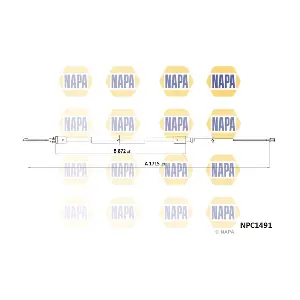 NPC1491 NAPA