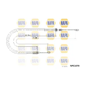 NAPA NPC1079