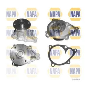 NWP1264 NAPA