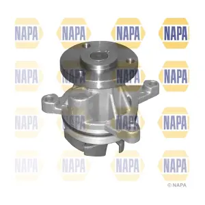 NAPA NWP1200