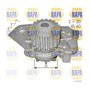 NAPA NWP1503