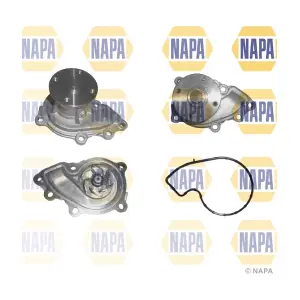 NWP1262 NAPA