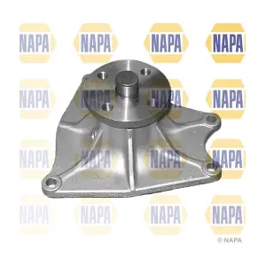 NWP1241 NAPA