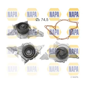 NAPA NWP1030