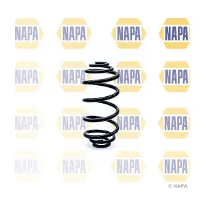 NCS1313 NAPA