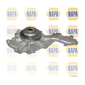 NWP1399 NAPA