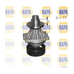 NAPA NWP1095