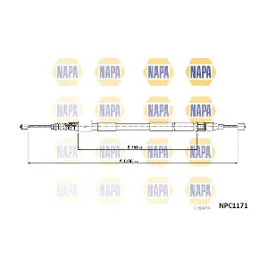 NPC1171 NAPA