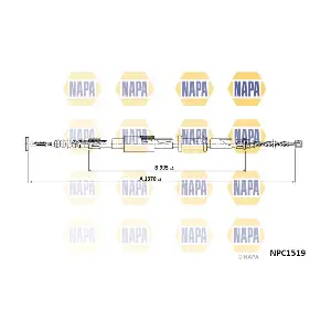 NAPA NPC1519