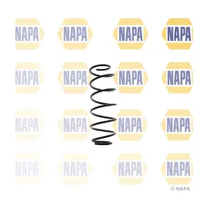 NCS1365 NAPA