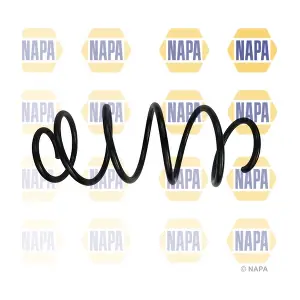 NCS1889 NAPA