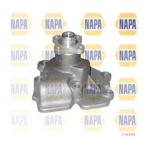 NAPA NWP1181