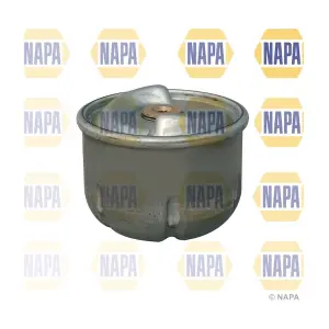 NFO3105 NAPA