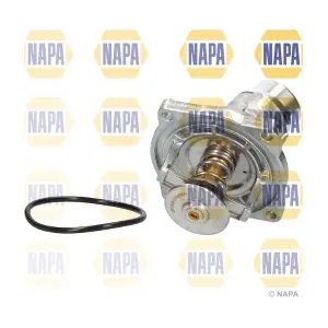 NTH1178 NAPA