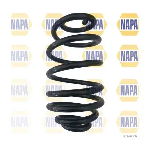 NCS1029 NAPA