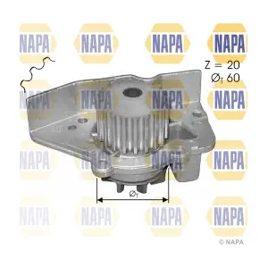 NAPA NWP1391