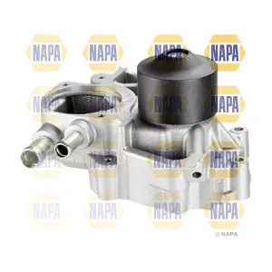 NAPA NWP1666
