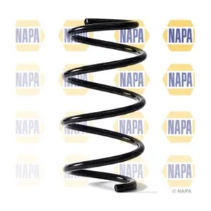 NCS1843 NAPA