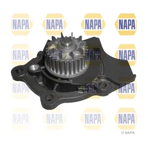 NAPA NWP1050