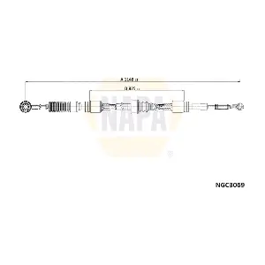 NGC3069 NAPA