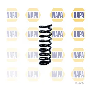 NCS1218 NAPA