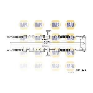 NAPA NPC1443
