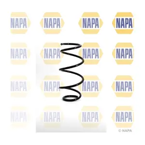 NCS1089 NAPA