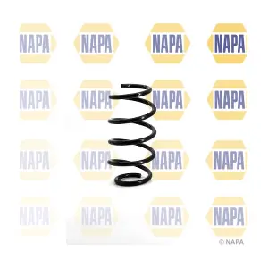 NCS1101 NAPA
