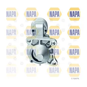 NAPA NDE2017