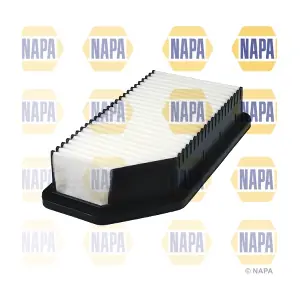 NFA1238 NAPA