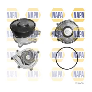 NAPA NWP1112