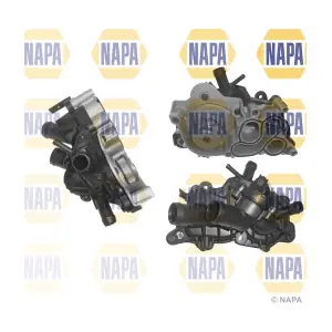 NAPA NWP1619