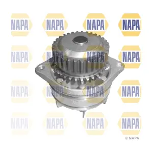 NAPA NWP1384