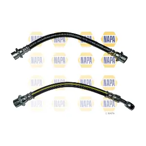 NBH1368 NAPA