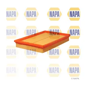 NAPA NFA1012