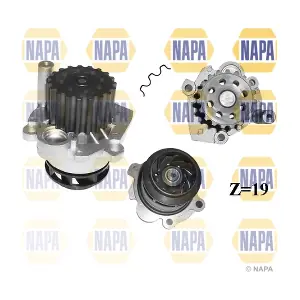 NAPA NWP1060