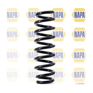 NCS1393 NAPA