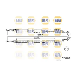 NAPA NPC1275