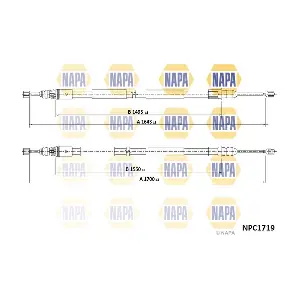 NPC1719 NAPA