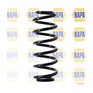 NCS1391 NAPA
