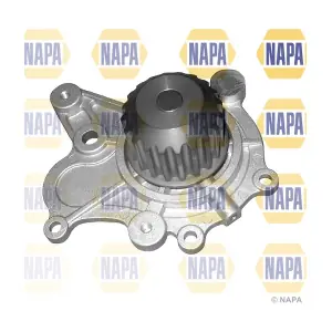 NAPA NWP1244