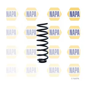 NCS1260 NAPA