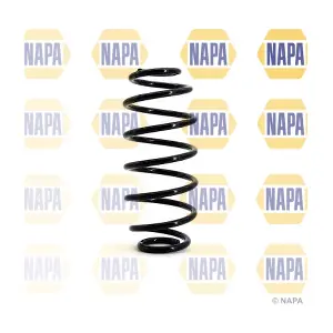 NCS1118 NAPA