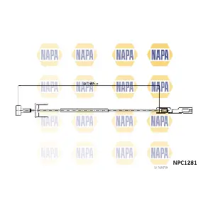 NAPA NPC1281