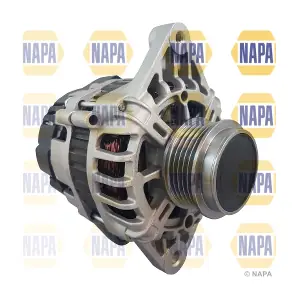 NAL1779 NAPA