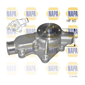 NAPA NWP1271