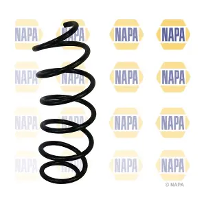 NCS1681 NAPA