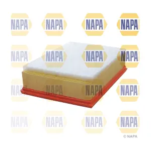 NFA1209 NAPA